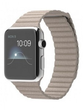 Apple Watch 42mm Stainless Steel Case with Stone Leather Loop (MJ432)