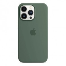 Silicone Case with Animation & MagSafe iPhone 13 Pro Max Eucalyptus