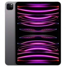 Apple iPad Pro 11 M2 Wi-Fi + Cellular 256GB Space Gray (MP573/MNYE3)