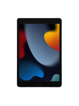 Apple iPad 9 10.2 64GB Wi-Fi+4G Space Gray (MK473)